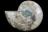 Bargain, Cut Ammonite Fossil (Half) - Agatized #69049-1